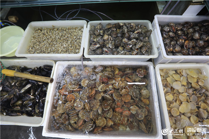 青島 休漁期水產(chǎn)品批發(fā)市場貨源充足，品類豐富價(jià)格穩(wěn)