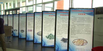吉林省醫(yī)藥健康產(chǎn)業(yè)科技成果對(duì)接會(huì)圓滿落幕，科技中介服務(wù)賦能產(chǎn)業(yè)創(chuàng)新